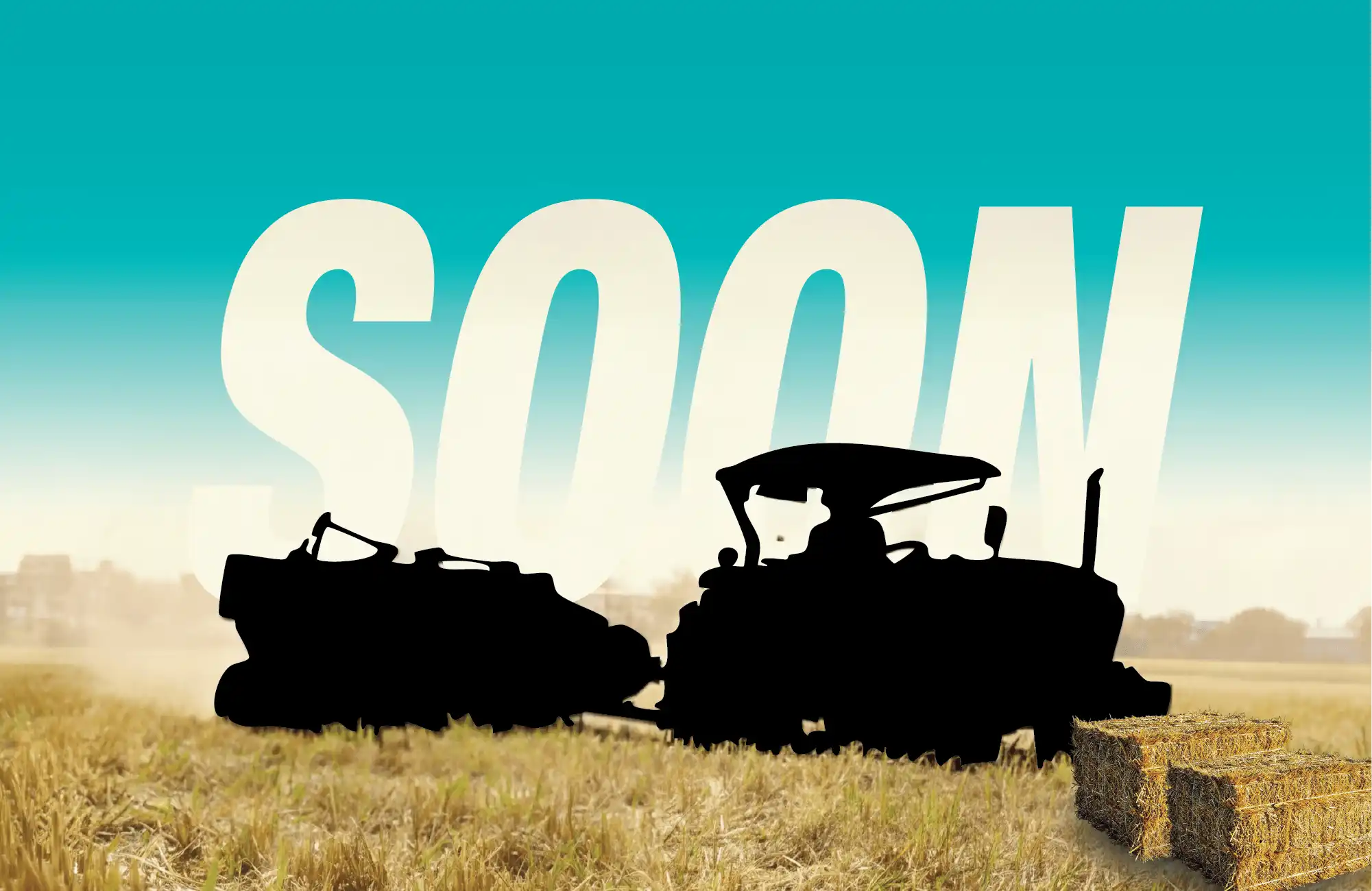 WEBSITE CAROUSEL FOR MOBILE.webp